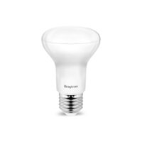 R Bulbs