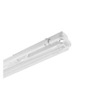 Corpuri Neon
