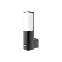 Corp LED PT