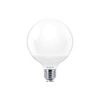 Globe Bulbs