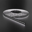 BANDA LED 13W/M 2835 168LED/M 6500K 24VDC IP20 5M