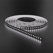 BANDA LED 12W/M 2835 120LED/M 6500K 24VDC IP20 5M