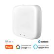 ADAPTOR PT SINA MAGNET MS20, ALB, TUYA-LAN