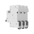 SIGURANTA AUTOMATA 3P 63A C 4.5kA BRAYTRON BMG1-3