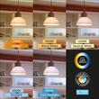 BEC LED 8,5W 5in1 A60 PREMIUM E27 BRAYTRON