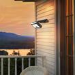 CORP SOLAR CU SENZOR W3, PT PERETE 10W, 3IN1, IP54