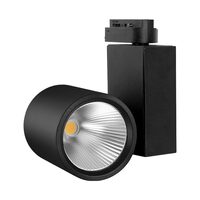 SPOT LED PE SINA NEGRU 4000K 30W 2660LM COB BR PLU