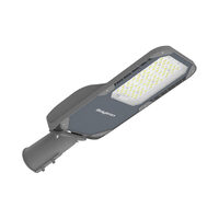 LAMPA STRADALA CU LED ST95 56.5W 7900lm 4000K GRI IP66 D60mm