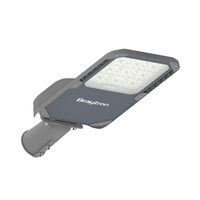 LAMPA STRADALA CU LED ST95 112W 16300lm 4000K GRI IP66 D60mm
