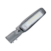 LAMPA STRADALA CU LED ST89 30W 4000K GRI IP66 D60mm