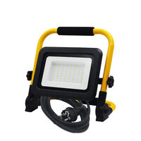 PROIECTOR CU LED WL, 50W 6500K PORTABILA