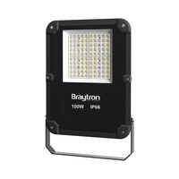 PROIECTOR LED 100W 4000K IP66 -GRI