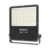 PROIECTOR LED 300W 6500K IP66 -GRI