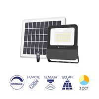 PROIECTOR CU LED PL, SOLAR+TELECOMANDA, P:100W, C:30W, 3IN1 IP65