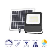 PROIECTOR CU LED PL, SOLAR+TELECOMANDA, P:250W, C:75W, 3IN1 IP65