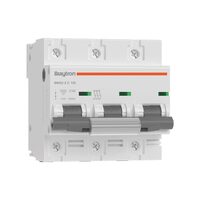 SIGURANTA AUTOMATA 3P 100A C 6kA BRAYTRON BMG2-3