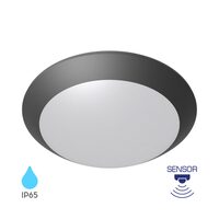 PLAFONIERA CU SENZOR 1xE27 NAPOLI-PC D:270mm IP65 GRI