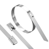 BRIDA INOX 7,9x360mm 50buc/PAC 304-SS-SLV BRAYTRON